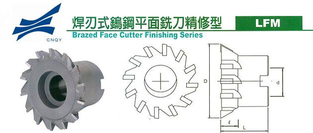 Precision Brazed Carbide Cutting Tools for CNC Milling, Mold Machining and Metal Cutting
